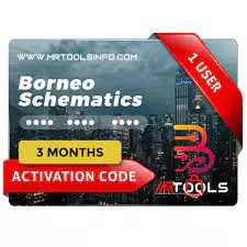 Borneo Esquematico 3 meses